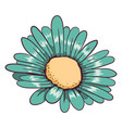 aqua green daisy flower vector image