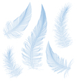 blue feathers vector image vector image