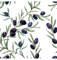 olives vector image