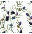 olives vector image