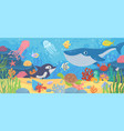underwater ocean life dolphin exotic fishes vector image vector image