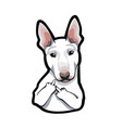 dog bull terrier with middle finger vector image vector image