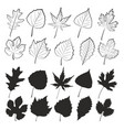 set of tree leaves vector image