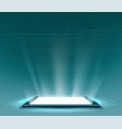 smartphone with white blank screen vector image