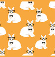 rabbits in glasses on an orange background vector image