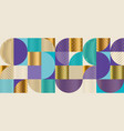 elegant luxury geometric pattern vector image