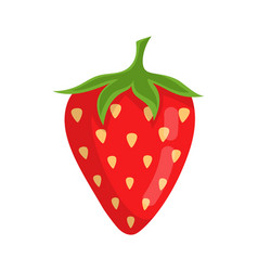 Cute Strawberry Isolated On White Background Vector Image