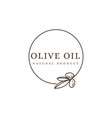 lineart olive branch framed logo oil vector image