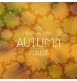 blurred background and seamless pattern vector image