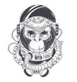 hand drawn of a monkey vector image
