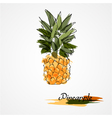 pineapple fruit vector image