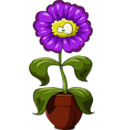 flower pot vector image vector image
