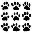 Lion paw print silhouette Royalty Free Vector Image