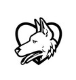 german shepherd dog head side view inside heart vector image vector image