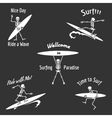 skeleton surfer vector image