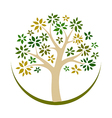 tree logo vector image vector image