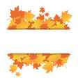 autumn leaves frame on banner with copy space vector image
