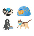 cartoon cats cute animals sitting lying in bed vector image