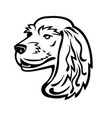 english cocker spaniel head mascot black and white vector image