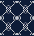 endless nautical rope pattern hand drawn vector image