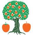persimmon tree vector image vector image