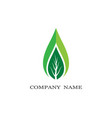 tree symbol icon vector image