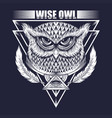 wise owl vector image