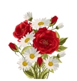beautiful white daisies and red roses vector image
