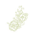 isolated floral branch element for coloring book vector image