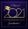 2021 simple thin minimal golden frame vector image vector image