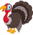cartoon turkey isolated on white background vector image