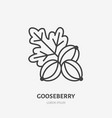 gooseberry flat line icon forest berry sign vector image vector image