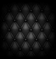 leather upholstery texture vector image