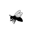 bee icon design template isolated vector image vector image