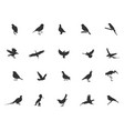 bird silhouette flying svg vector image