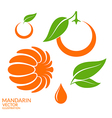 mandarin set vector image vector image