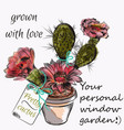 pretty card with hand drawn cactus grown love vector image