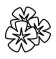 frangipani flower icon vector image