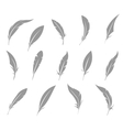set of feather vector image vector image