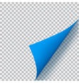 curled corner of paper vector image vector image