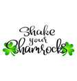 shake your shamrocks vector image
