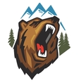 angry bear vector image vector image