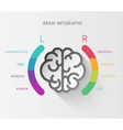 brain infographic concept vector image