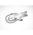 crocodile design on white background wild vector image
