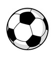 graphic of a soccer ball vector image vector image