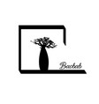 boab or baobab tree isolated logo icon vector image