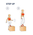 step up exercise for female home workout colorful vector image vector image