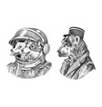 dogs astronauts in a spacesuit bear in military vector image vector image