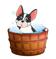 a dog taking bath vector image vector image