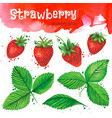 watercolor strawberry isolated on white background vector image